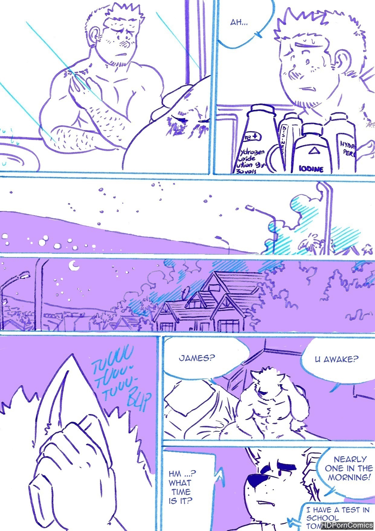 Wolfguy 3.5 - Purple And Blue 003