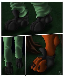The Fox Collar 007