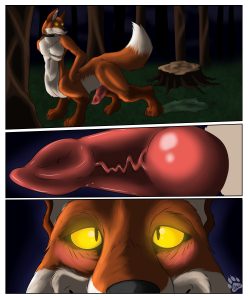 The Fox Collar 017