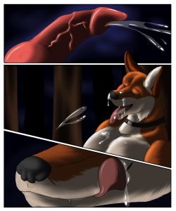 The Fox Collar 019