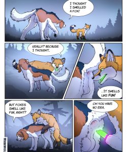 A Fox And A Dog