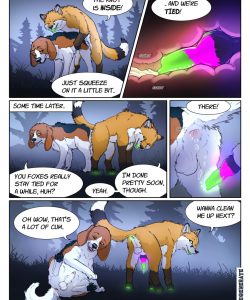 A Fox And A Dog 002