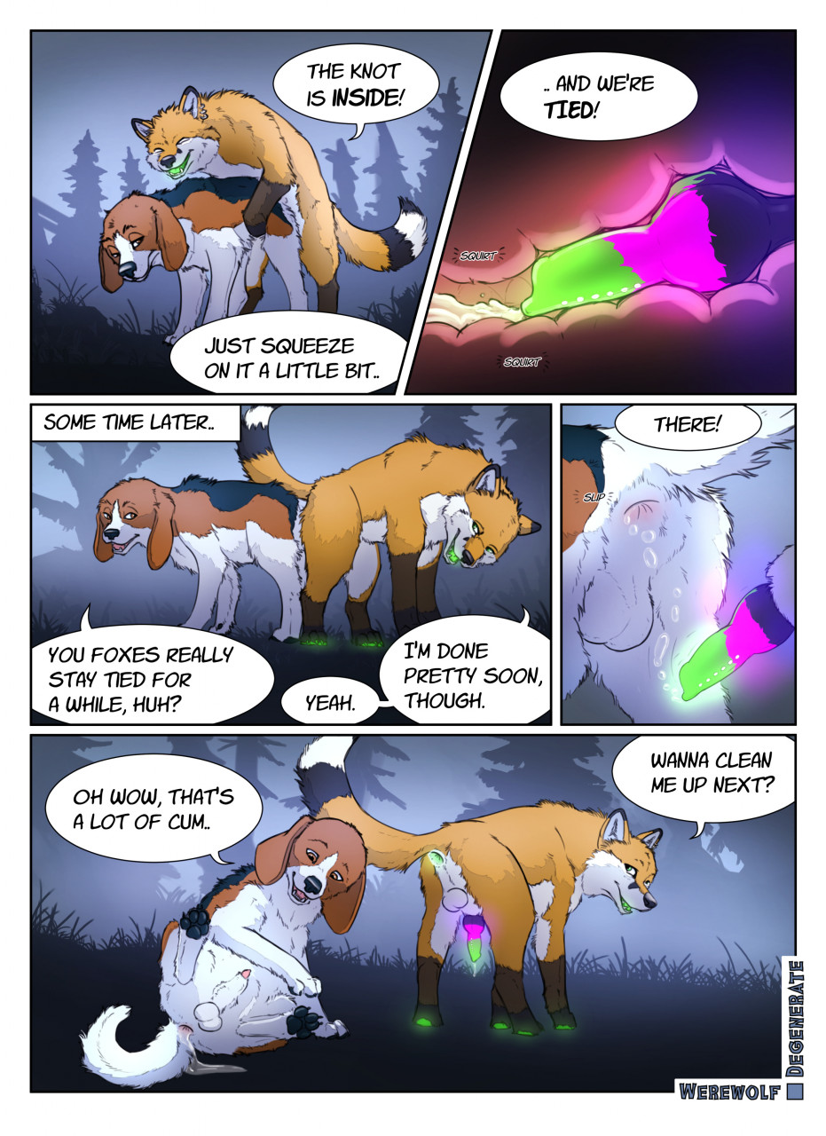 A Fox And A Dog 002