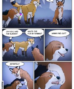 A Fox And A Dog 003