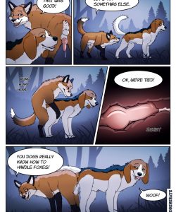 A Fox And A Dog 004