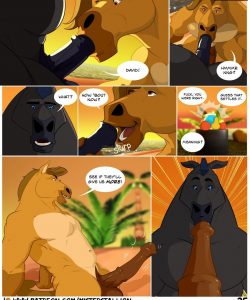 The Island 026