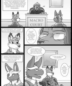 Macro Court