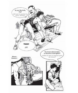 The Matador 003