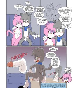 VG CatSex 012
