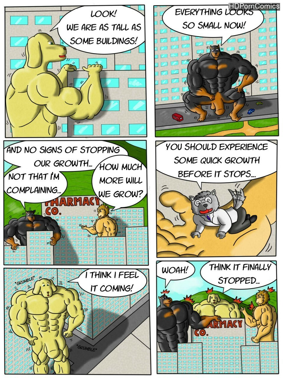 Wrong Formula 008