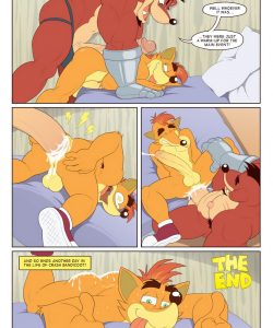 A Day In The Life Of Crash Bandicoot 004