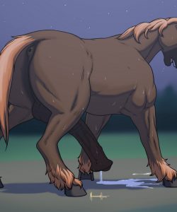 A Horse Transformation Tale 014