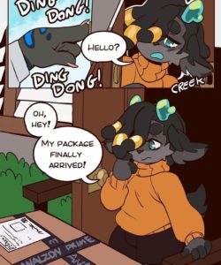 Back Door Delivery