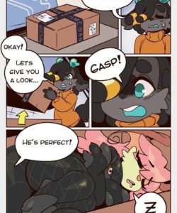 Back Door Delivery 002