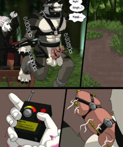 Bad Dog Training 013