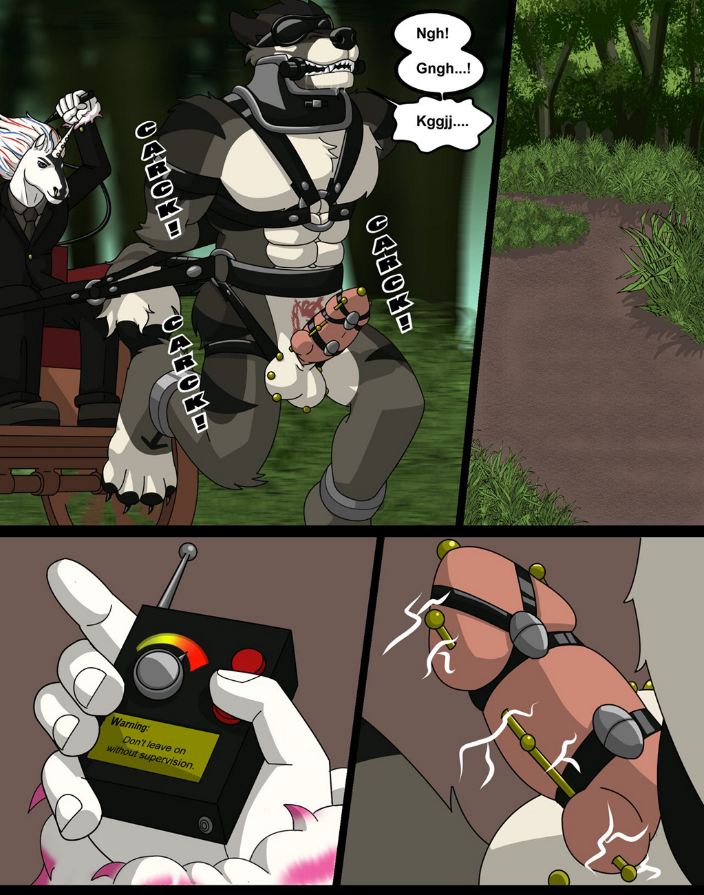Bad Dog Training 013