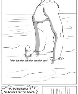 Beach Rules 006