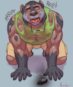 Bear Transformation 003