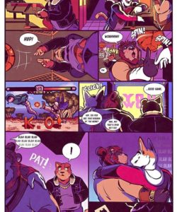 Bodega Cat 041