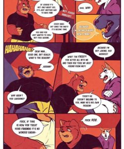 Bodega Cat 043
