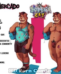 Bodega Cat 046