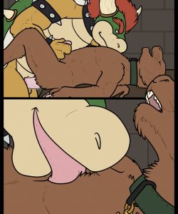 Bowser's Pet 2 011