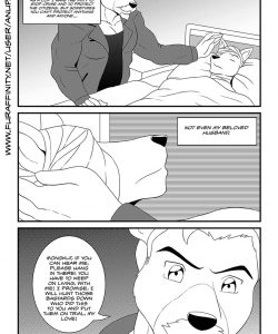 Bruno Rheinbear 003