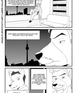 Bruno Rheinbear 005