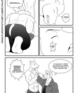 Bruno Rheinbear 014