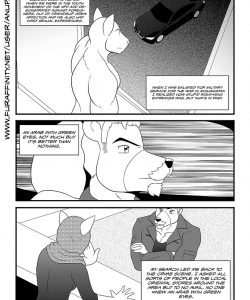 Bruno Rheinbear 020