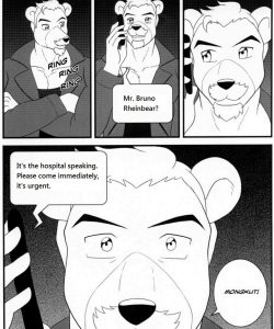 Bruno Rheinbear 055