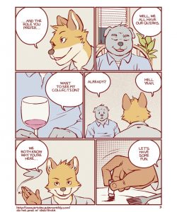 Collection 004