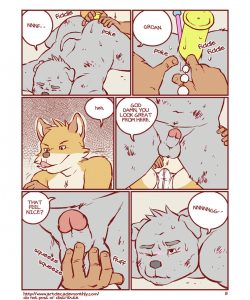 Collection 009