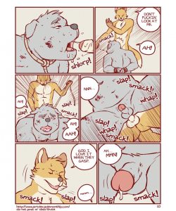 Collection 011