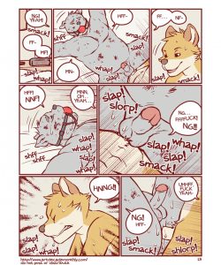 Collection 014