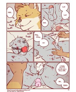 Collection 015
