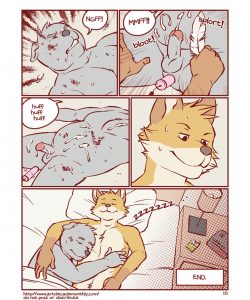 Collection 016