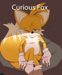 Curious Fox