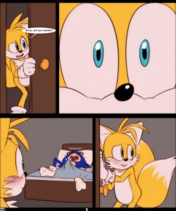 Curious Fox 002