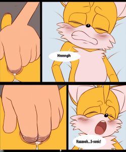 Curious Fox 010