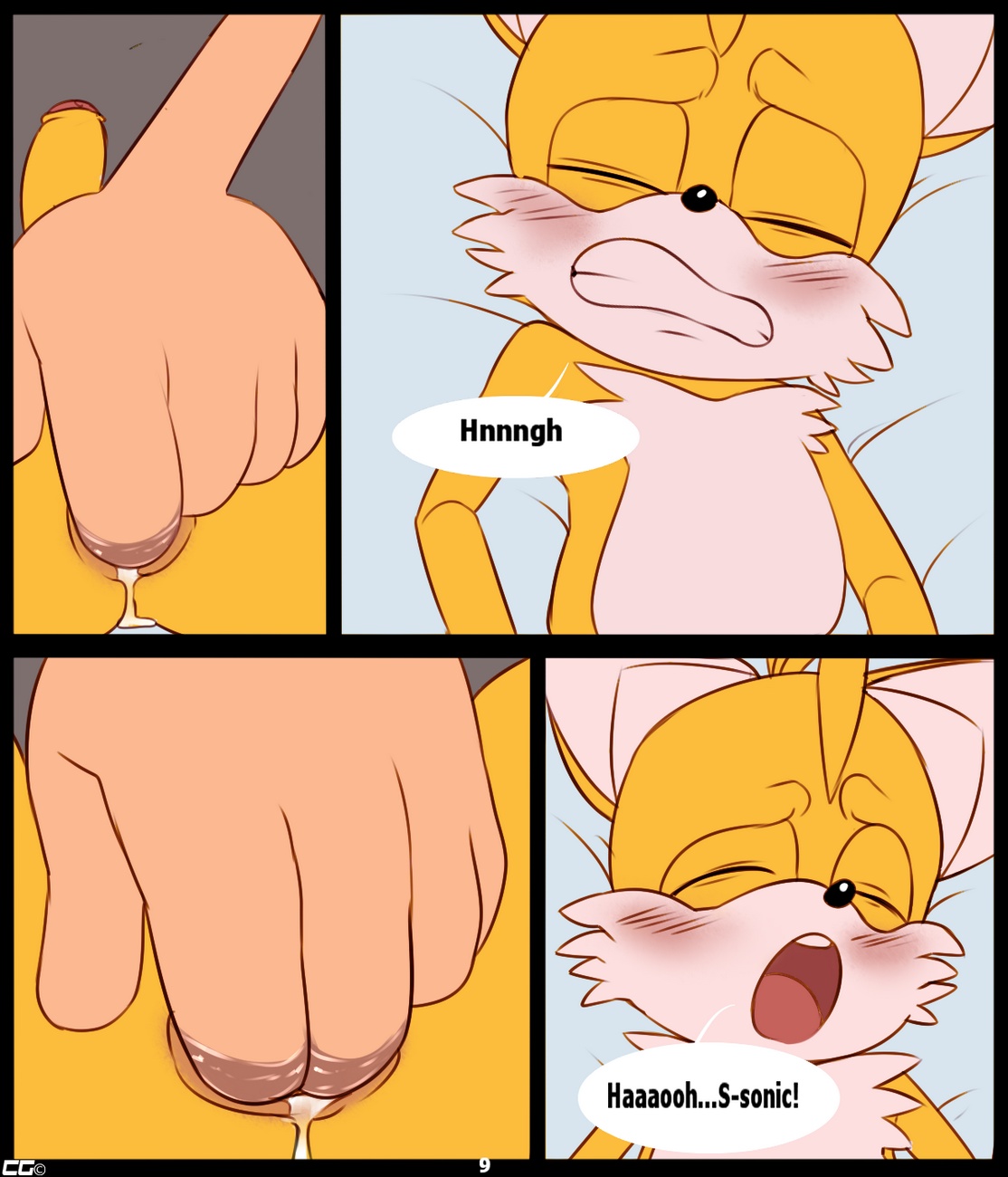 Curious Fox 010
