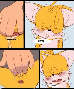 Curious Fox 011