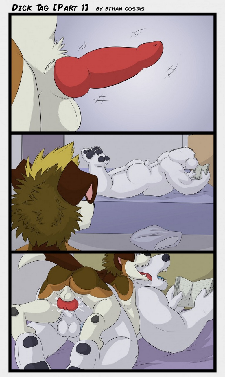 Dick Tag 002