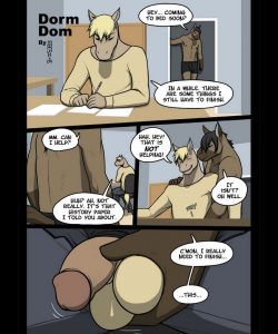 Dorm Dom 002
