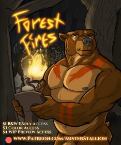 Forest Fires 1