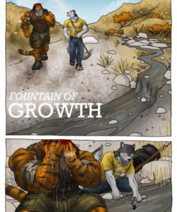 Fountain Of Growth