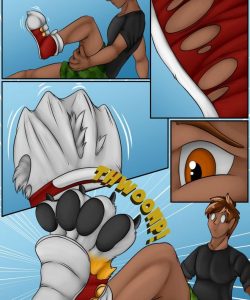 Fox Shoes 003