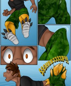 Fox Shoes 005