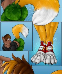 Fox Shoes 006
