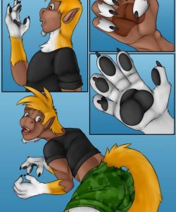 Fox Shoes 007
